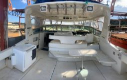 
										SEA RAY SUNDANCER 44 full									