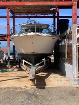 
										SEA RAY SUNDANCER 44 full									