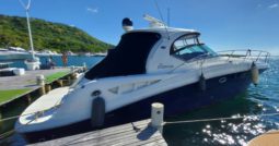 
										SEA RAY SUNDANCER 44 full									