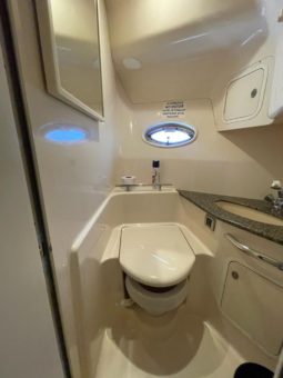 
										SEA RAY SUNDANCER 44 full									