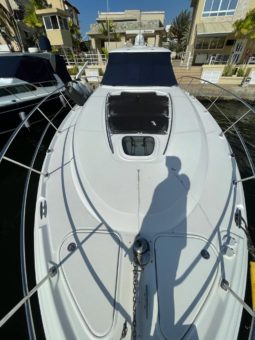 
										SEA RAY SUNDANCER 44 full									