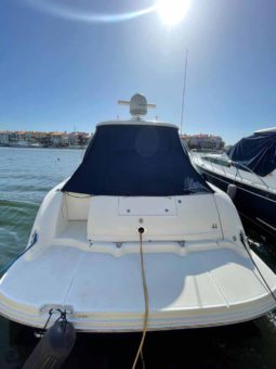 
										SEA RAY SUNDANCER 44 full									