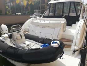 SEA RAY SUNDANCER 55