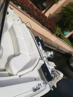 SEA RAY SUNDANCER 55