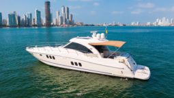 
										SEA RAY SUNDANCER 62 full									