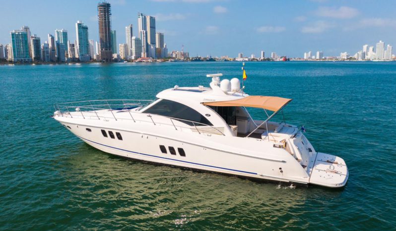 
								SEA RAY SUNDANCER 62 full									