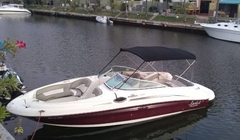 
								SEA RAY SUNDECK 24 full									