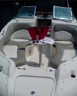 
										SEA RAY SUNDECK 24 full									