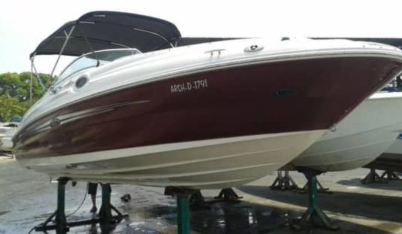 
								SEA RAY SUNDECK 24 full									