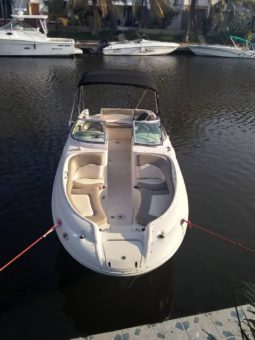 
										SEA RAY SUNDECK 24 full									