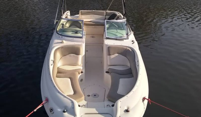 
								SEA RAY SUNDECK 24 full									