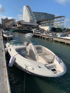 SEA RAY SUNDECK 24