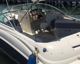 SEA RAY SUNDECK 24