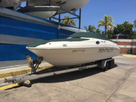 SEA RAY SUNDECK 24