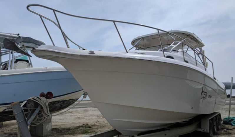 
								SEASWIRL STRIPER EXPRESS 33 full									