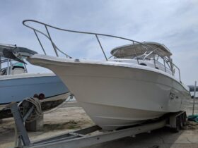 SEASWIRL STRIPER EXPRESS 33