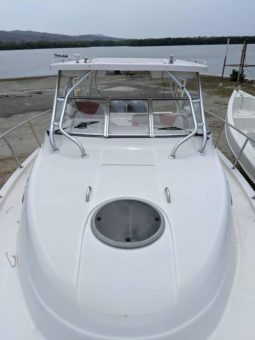 
										SEASWIRL STRIPER EXPRESS 33 full									