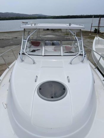 
								SEASWIRL STRIPER EXPRESS 33 full									