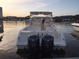 
										SEASWIRL STRIPER EXPRESS 33 full									