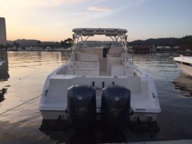 SEASWIRL STRIPER EXPRESS 33