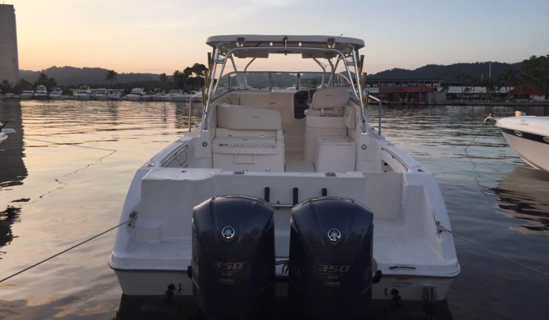 
								SEASWIRL STRIPER EXPRESS 33 full									