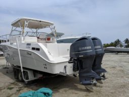 
										SEASWIRL STRIPER EXPRESS 33 full									