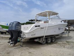 
										SEASWIRL STRIPER EXPRESS 33 full									