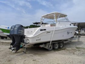 SEASWIRL STRIPER EXPRESS 33