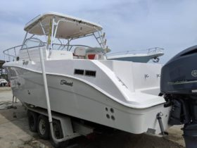 SEASWIRL STRIPER EXPRESS 33