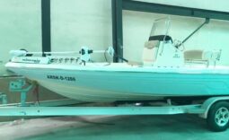 SKEETER SALTWATER SX210, VENTA DE SKEETER SALTWATER SX210, SKEETER SALTWATER SX210 DE PTO ORDAZ