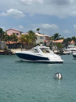 
										SUNSEEKER PORTOFINO 53 full									