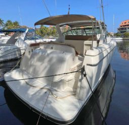 
										TIARA 35 full									