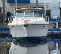 
										TIARA 35 full									