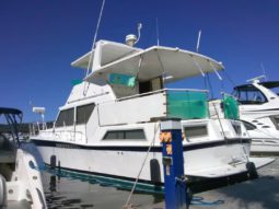 
										UNIFLITE MOTOR YACHT 42 full									