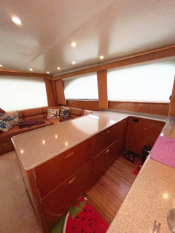 
										VIKING CONVERTIBLE 48 full									