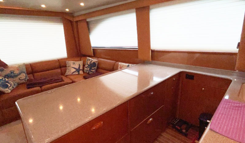 
								VIKING CONVERTIBLE 48 full									