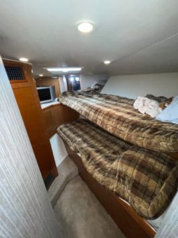 
										VIKING CONVERTIBLE 48 full									