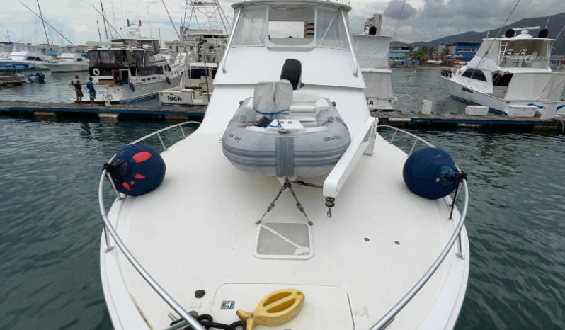 
								VIKING CONVERTIBLE 48 full									