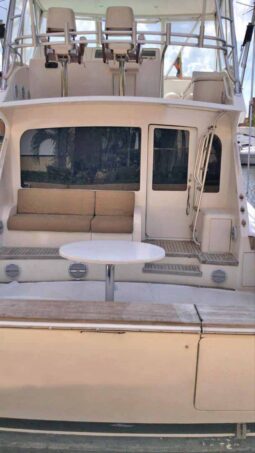 
										VIKING CONVERTIBLE 52 full									