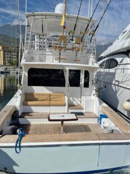 
										VIKING CONVERTIBLE 55 full									