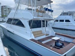 
										VIKING CONVERTIBLE 55 full									