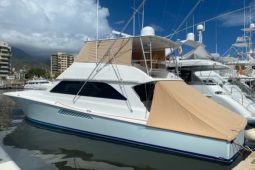 
										VIKING CONVERTIBLE 55 full									