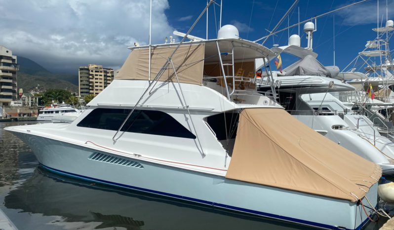 
								VIKING CONVERTIBLE 55 full									