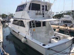 VIKING ENCLOSED BRIDGE 58, VENTA DE VIKING ENCLOSED BRIDGE 58, VIKING ENCLOSED BRIDGE 58 DE LA GUAIRA