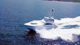 
										VIKING SPORT 61.8 full									