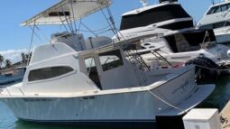 VIKING SPORT FISHERMAN 42, VENTA DE VIKING SPORT FISHERMAN 42, VIKING SPORT FISHERMAN 42 DE LECHERIA