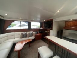 
										VIKING SPORT FISHERMAN 43 full									