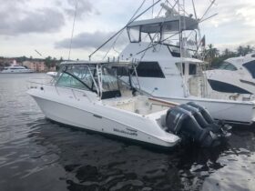 WELLCRAFT COASTAL 34