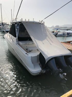 WELLCRAFT COASTAL 34