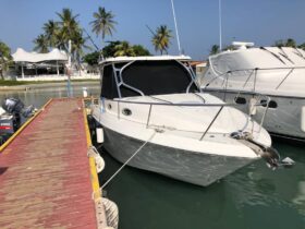 WELLCRAFT COASTAL 34